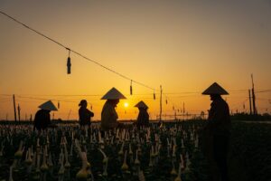 地方でインスタ映えする田舎のデート場所はマッチングアプリで見つかる？