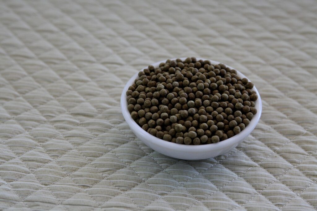 地方で昔知り合いが苦手な人とのマッチングアプリ利用法は？