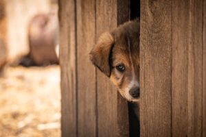 地方のマッチングアプリで小さいコミュニティに気まずさを感じた時の対処法は？